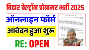 Bihar Beltron Programmer Vacancy 2025